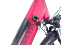 29 Zoll E-Bike Fahrrad Damenfahrrad Citybike Elektrofahrrad 36V 250W 70km Rot