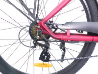 29 Zoll E-Bike Fahrrad Damenfahrrad Citybike Elektrofahrrad 36V 250W 70km Rot