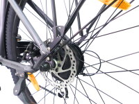 29 Zoll E-Bike Fahrrad Damenfahrrad Citybike Elektrofahrrad 36V 250W 70km Grau