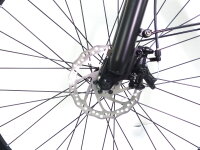 29 Zoll E-Bike Fahrrad Damenfahrrad Citybike Elektrofahrrad 36V 250W 70km Grau