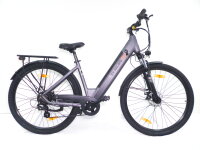 29 Zoll E-Bike Fahrrad Damenfahrrad Citybike Elektrofahrrad 36V 250W 70km Grau