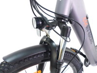 29 Zoll E-Bike Fahrrad Damenfahrrad Citybike Elektrofahrrad 36V 250W 70km Grau