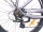 29 Zoll E-Bike Fahrrad Damenfahrrad Citybike Elektrofahrrad 36V 250W 70km Grau