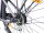 29 Zoll E-Bike Fahrrad Damenfahrrad Citybike Elektrofahrrad 36V 250W 70km Grau