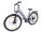 29 Zoll E-Bike Fahrrad Damenfahrrad Citybike Elektrofahrrad 36V 250W 70km Grau