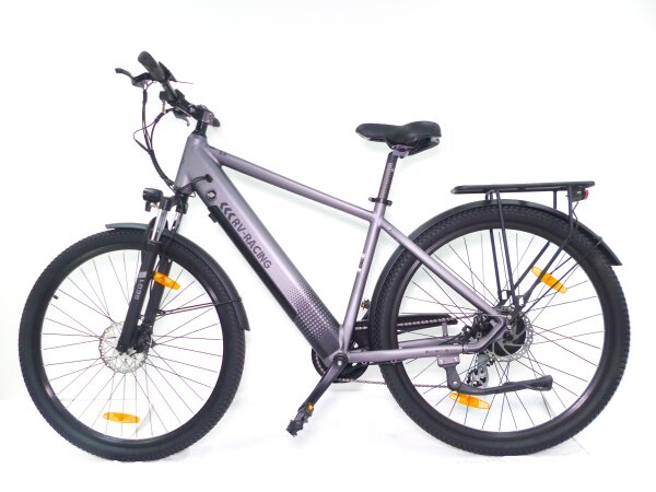 29 Zoll E-Bike Fahrrad Herrenfahrrad Citybike Elektrofahrrad 36V 250W 70km Grau