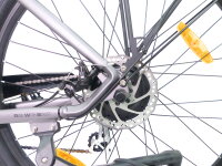 29 Zoll E-Bike Fahrrad Herrenfahrrad Citybike Elektrofahrrad 36V 250W 70km Grau