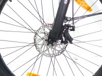 29 Zoll E-Bike Fahrrad Herrenfahrrad Citybike Elektrofahrrad 36V 250W 70km Grau