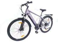 29 Zoll E-Bike Fahrrad Herrenfahrrad Citybike...