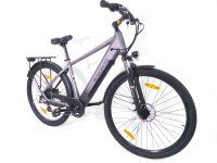 29 Zoll E-Bike Fahrrad Herrenfahrrad Citybike Elektrofahrrad 36V 250W 70km Grau