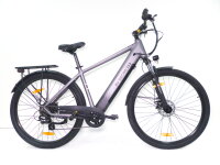 29 Zoll E-Bike Fahrrad Herrenfahrrad Citybike Elektrofahrrad 36V 250W 70km Grau