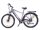 29 Zoll E-Bike Fahrrad Herrenfahrrad Citybike Elektrofahrrad 36V 250W 70km Grau