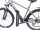 29 Zoll E-Bike Fahrrad Herrenfahrrad Citybike Elektrofahrrad 36V 250W 70km Grau