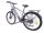 29 Zoll E-Bike Fahrrad Herrenfahrrad Citybike Elektrofahrrad 36V 250W 70km Grau